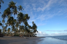 Fotografias do vilarejo e das praias de São Miguel dos Milagres