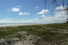 Icone da pequena cidade de Canavieiras - Estado de Bahia