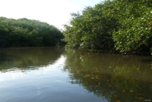 Icone da pequena cidade de Canavieiras - Estado de Bahia