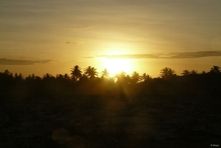 Icone da pequena cidade de Canavieiras - Estado de Bahia