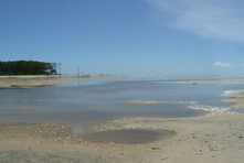 Icone da pequena cidade de Canavieiras - Estado de Bahia