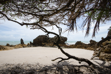 A cidade João Pessoa e o Litoral Sul - Estado de Paraíba