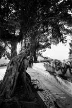 Fotografias da cidade Olinda no estado de Pernambuco no Brasil