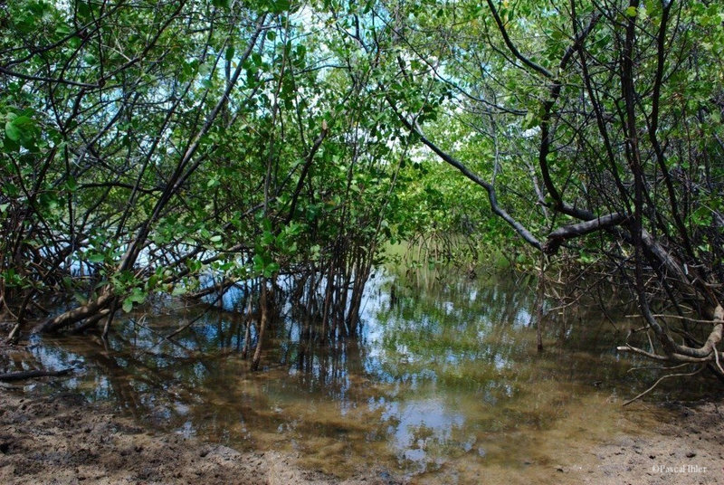 Fotografias do vilarejo e das praias de São Miguel dos Milagres