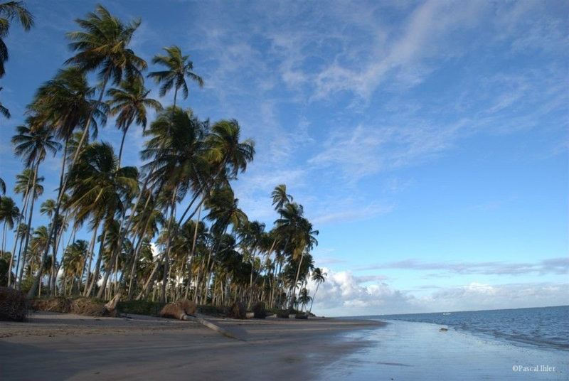 Fotografias do vilarejo e das praias de São Miguel dos Milagres