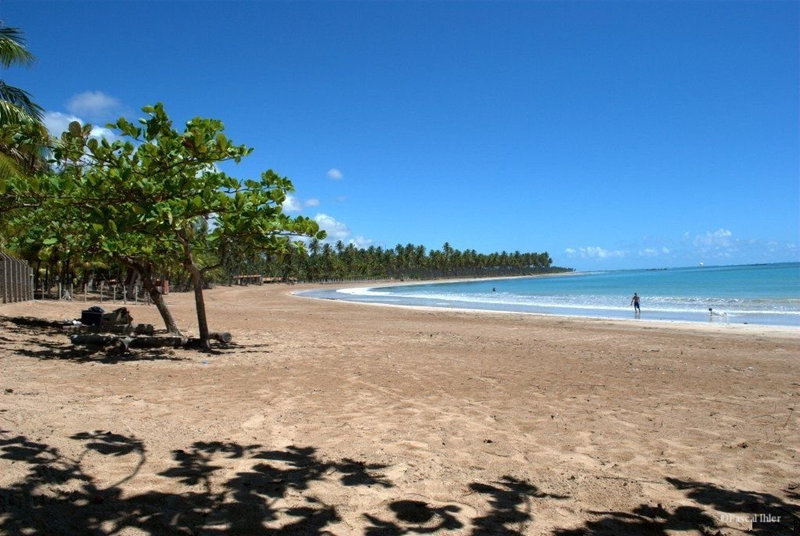 Fotografias do vilarejo e das praias de São Miguel dos Milagres