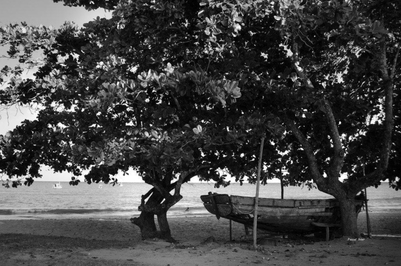 Fotografia das praias de Cumuruxatiba - Estado de Bahia