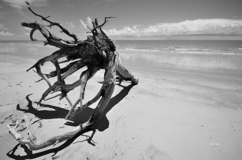 Fotografia das praias de Cumuruxatiba - Estado de Bahia