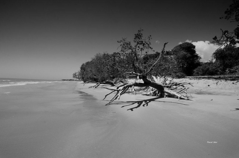 Fotografia das praias de Cumuruxatiba - Estado de Bahia