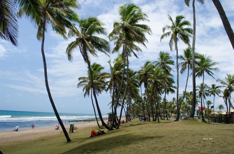 Fotografia da cidade Salvador - Estado de Bahia