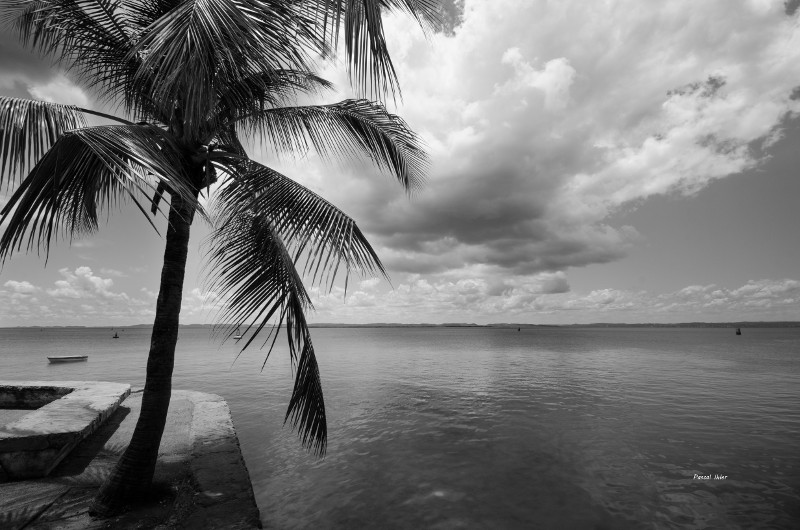 Fotografia dos barcos de Salvador e da ilha Itaparica