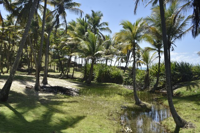 Fotografia de Itacaré avec le fleuve Rio de Contas et l'océan