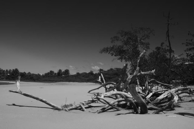 Fotografia de Serra Grande e seus arredores e suas praias