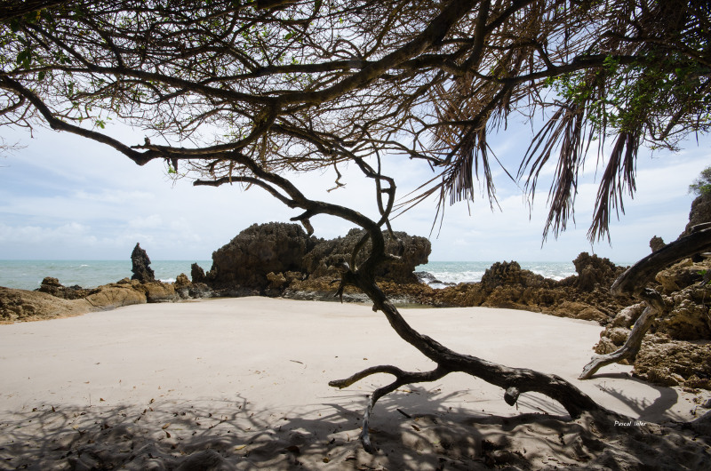 O Litoral Sul de João Pessoa (vilarejo Conde e as praias