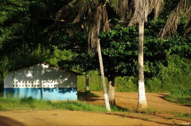 Foto da Área de Proteção Ambiental do Pratigi