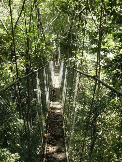 Foto da Área de Proteção Ambiental do Pratigi