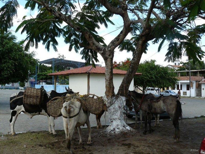 Fotografia do povoado Santiago do Iguape - Estado de Bahia