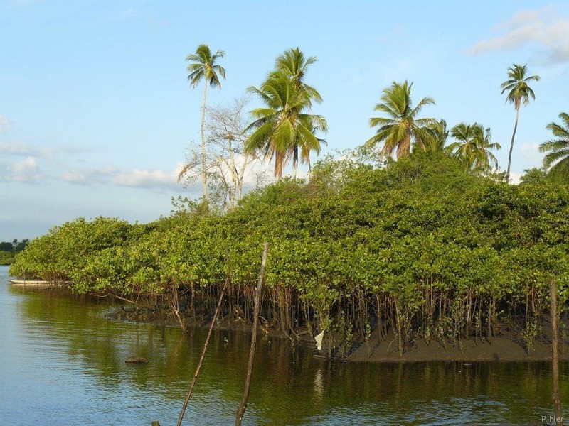 Fotografia do braço do mar que vai no interior das terras - Estado de Bahia